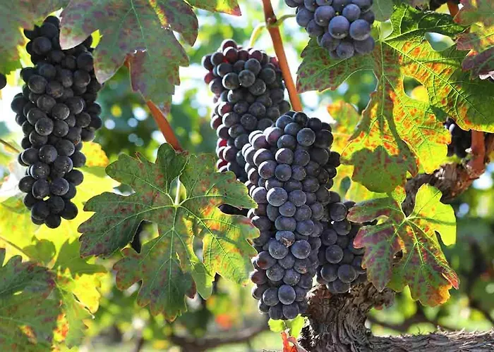 Casa de hóspedes Mylos Arkochorion